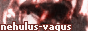 nehulus-vagus